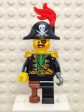 Pirate Captain, pi148 For Discount