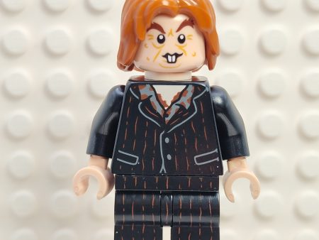 Peter Pettigrew, hp351 For Sale